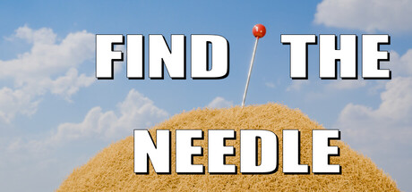 Find The Needle artwork